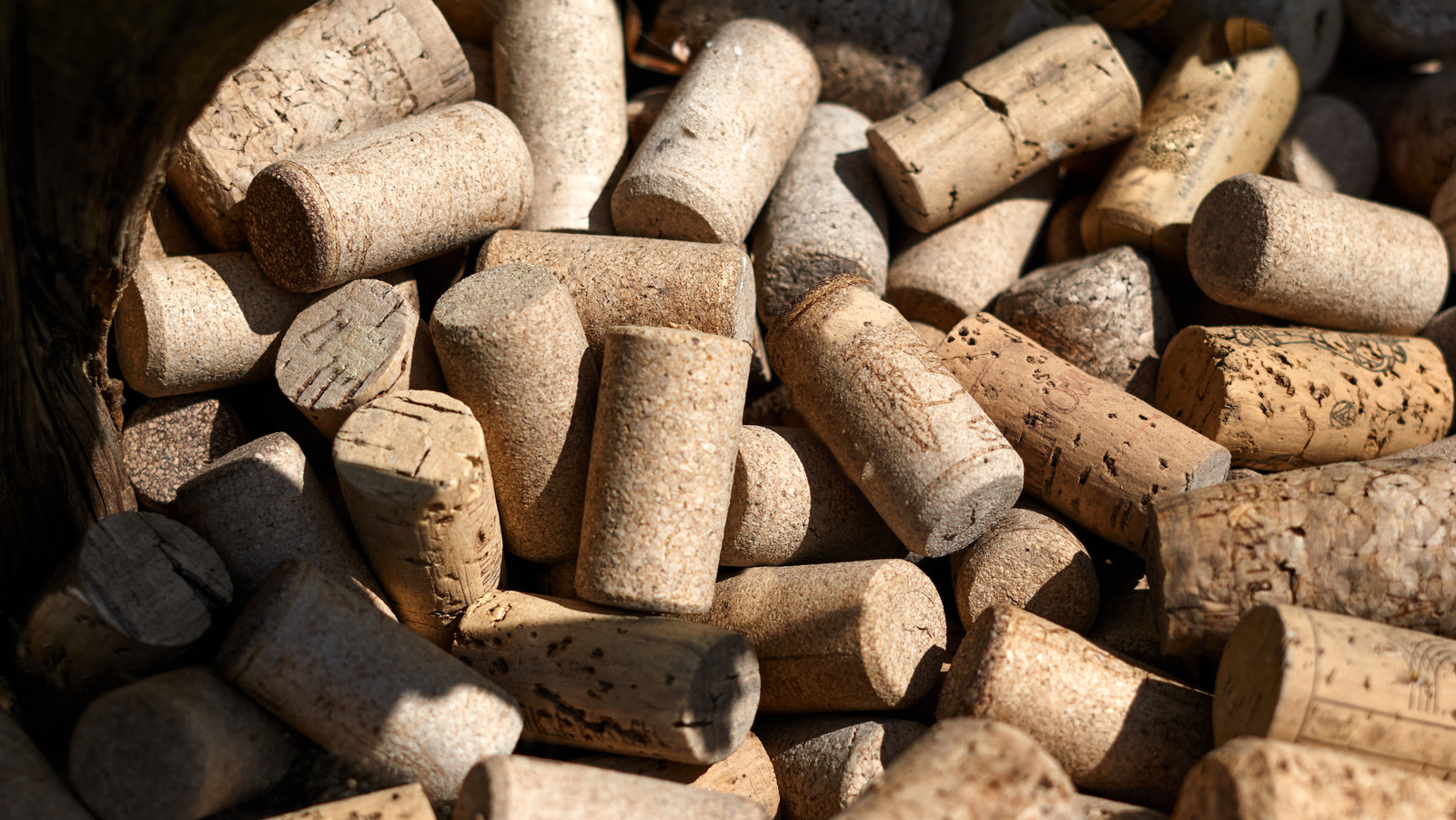 the-interesting-sustainable-way-wine-corks-are-made