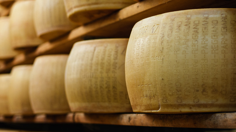 Wheels of aging Parmigiano Reggiano