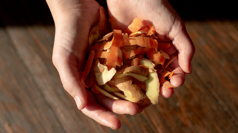 Home cook holding assorted vegetable peels