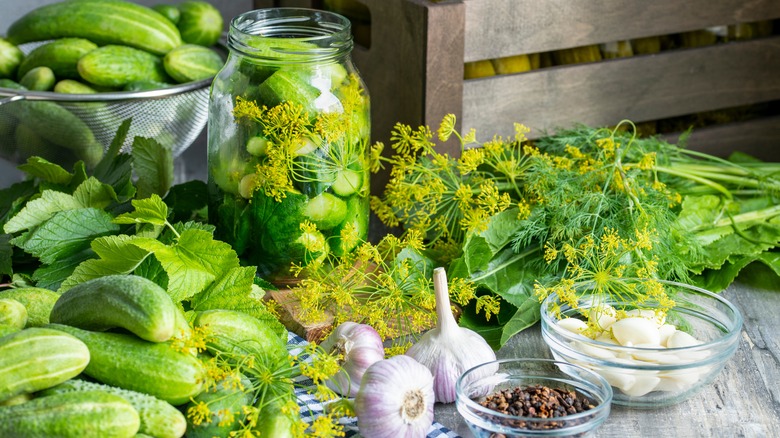 Pickles with fresh dill, garlic, pepper corns