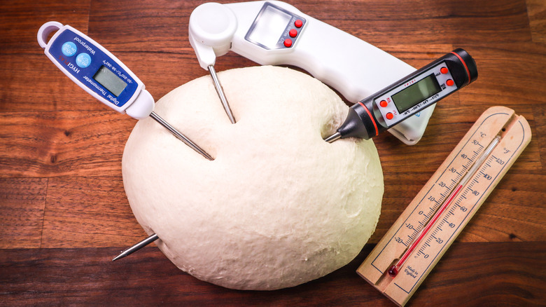 thermometers measuring bread dough temperature