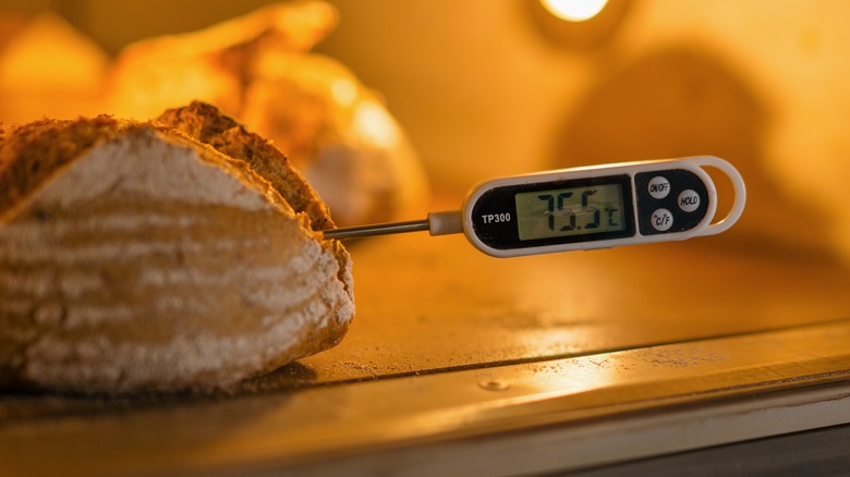 thermometer measuring temperature of bread