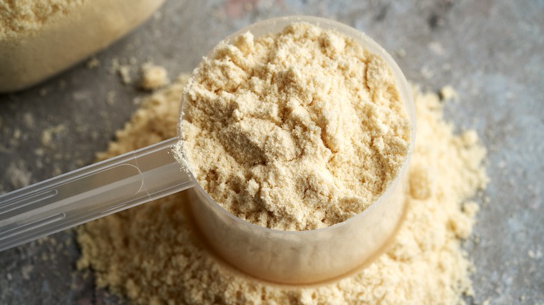 scoop of protein powder