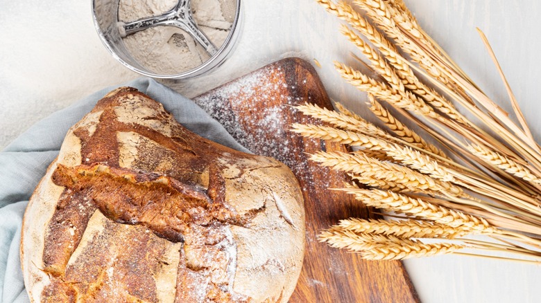 Rye bread, flour, and wheat