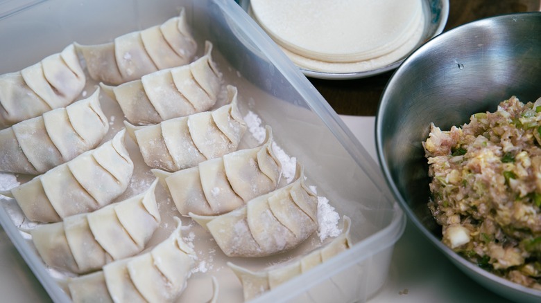 dumplings  in plastic container