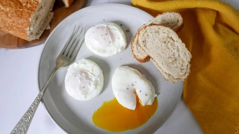 Perfect Poached Egg Maker - GEEKYGET