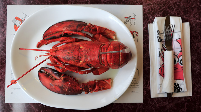 whole lobster on white plate