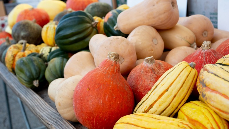 Various winter squash varieties