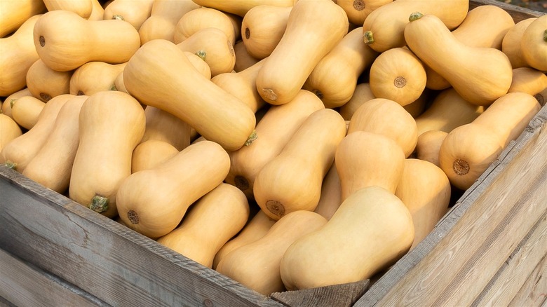 Crate of butternut squash