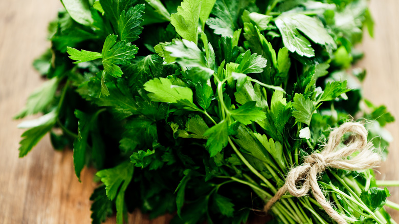 bundle of parsley 