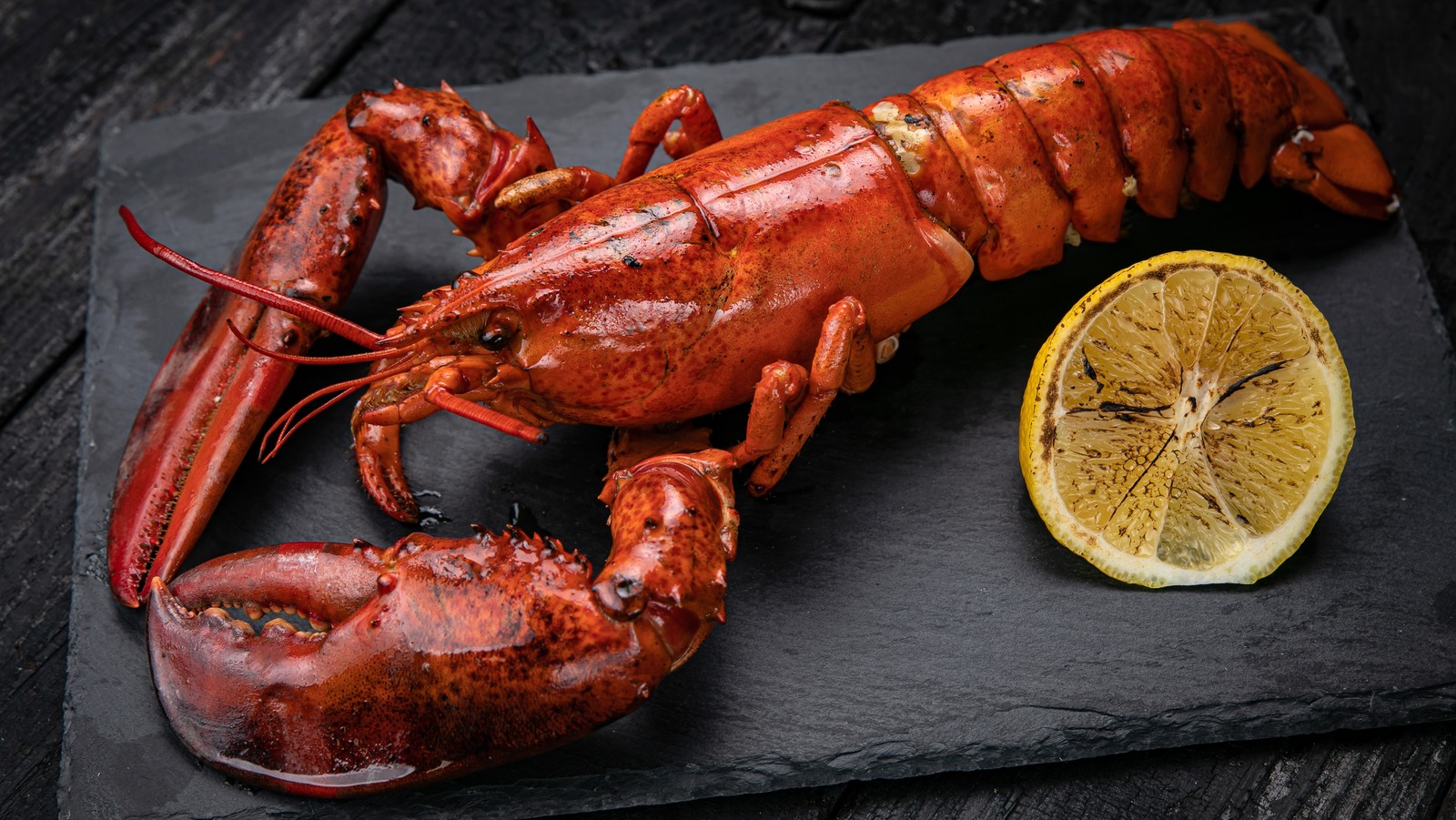 https://www.tastingtable.com/img/gallery/the-last-thing-to-do-with-lobster-shells-before-throwing-them-away/l-intro-1685745618.jpg