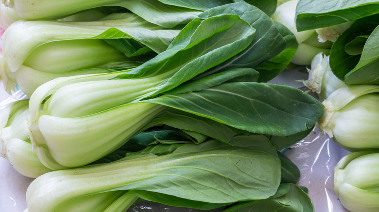 Fresh bok choy 