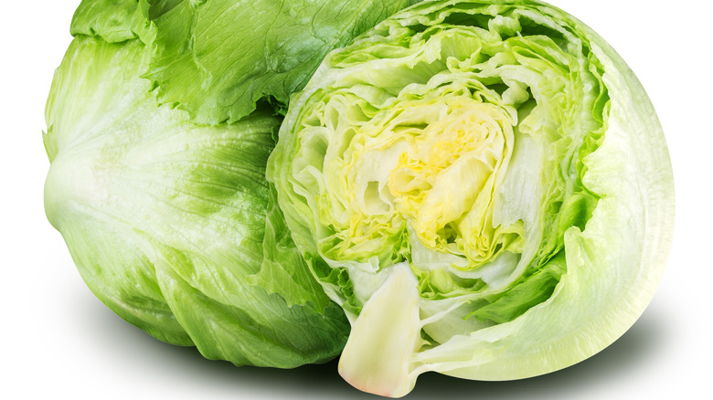 Midsection of a head of lettuce