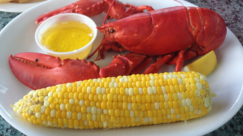 plate of lobster and corn