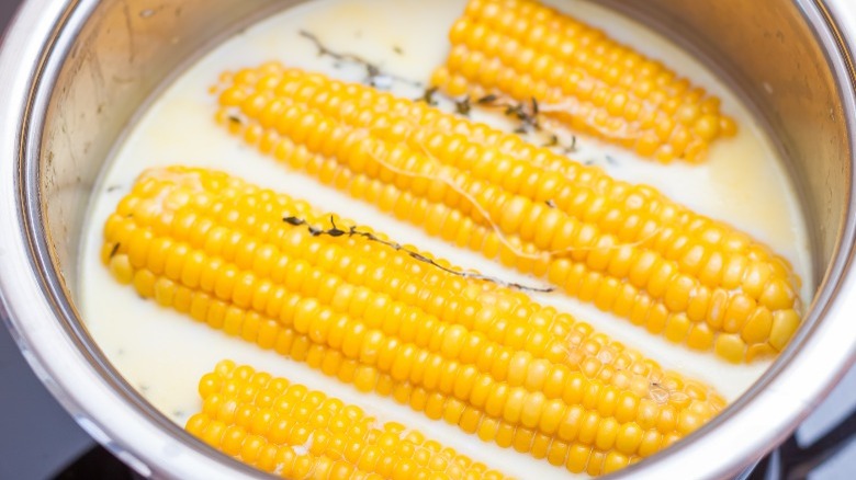 A large pot filled with corn on the cob, butter, milk, and thyme simmers