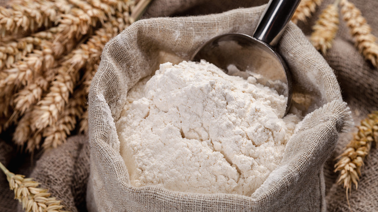 Bag of flour surrounded by wheat