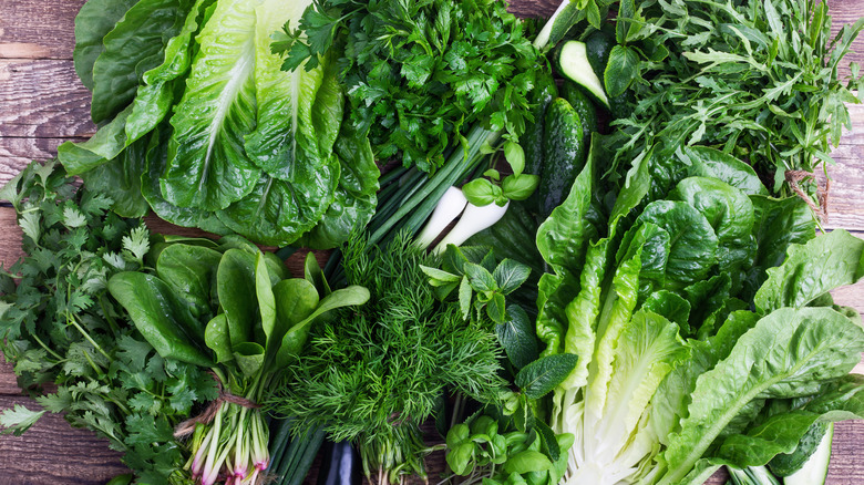 a lush assortment of greens