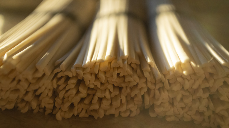 close up of dried udon