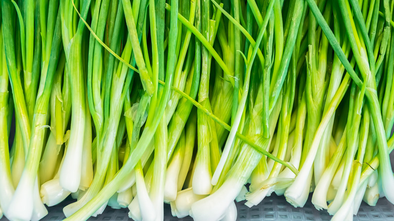 bunches of green onions