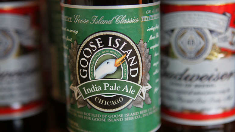 goose island ipa