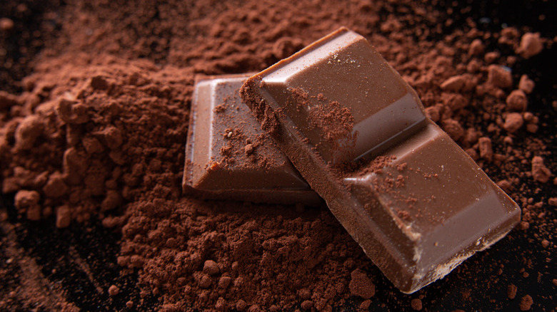 pieces of chocolate on a pile of cocoa powder 