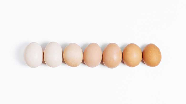 Seven eggs against a white background