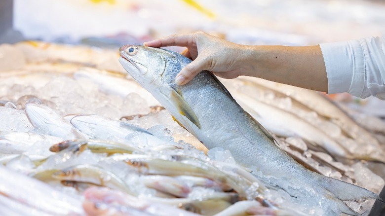 person touching displayed raw fish