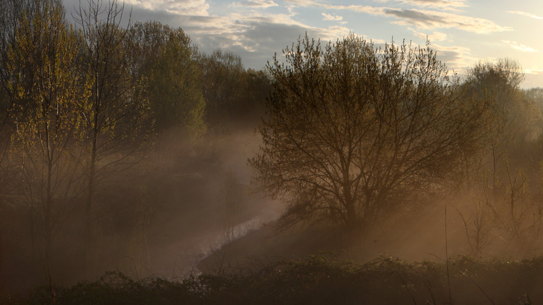 Po River fog