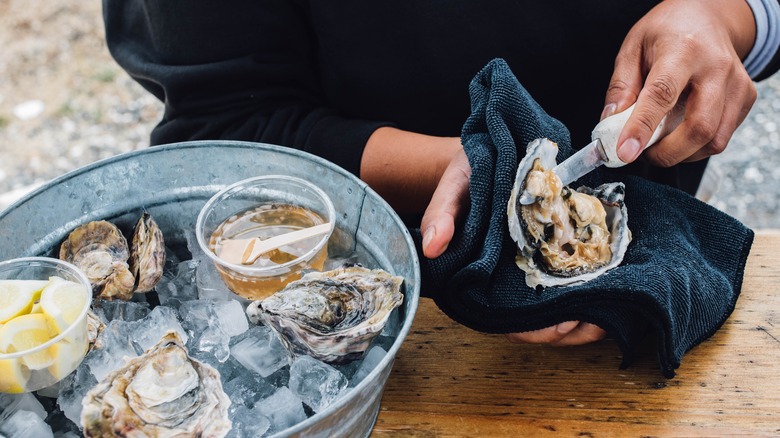 A person shucking an oyster