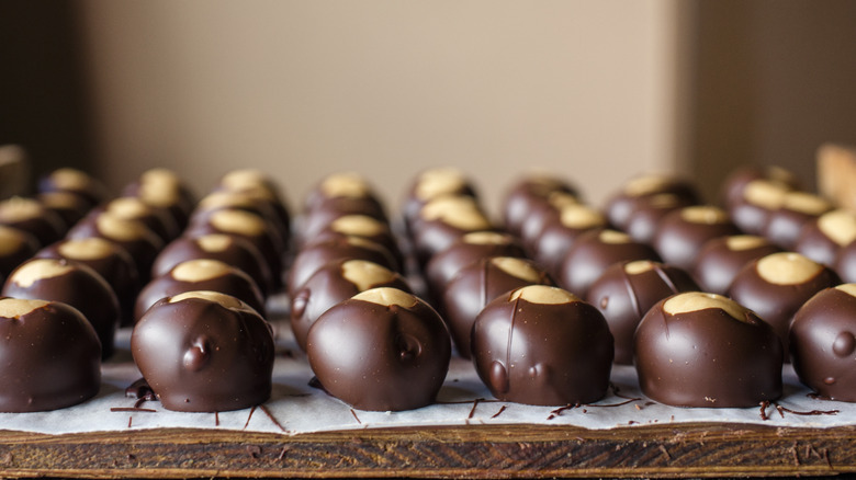 Rows of buckeye candies dipped in chocolate assembled on a white baking paper