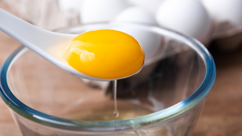 Egg yolks in spoon