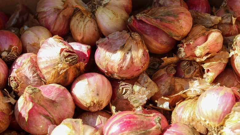 Pile of shallots in sunlight