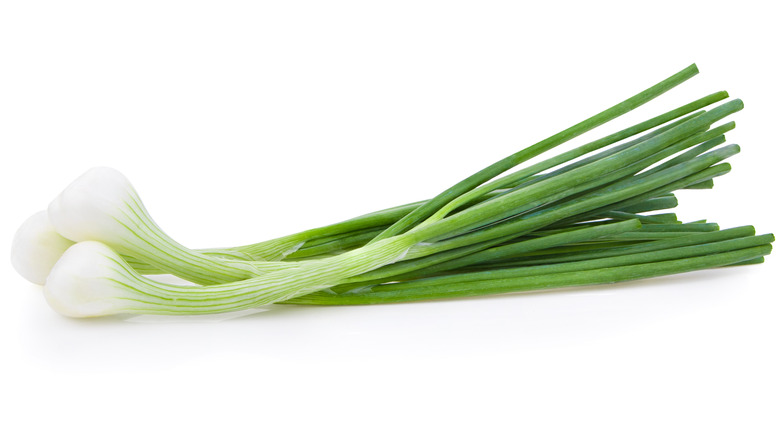 Spring onions on white background