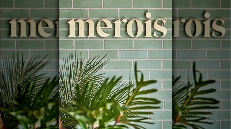 Stylish entrance at merois