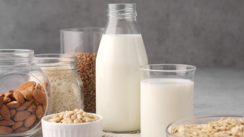 Non-dairy milks pictured with almonds, soybeans, other protein sources