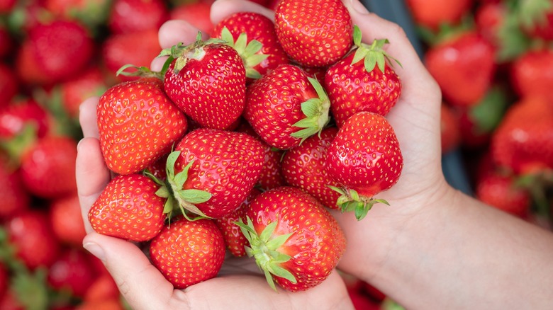 hands holding strawberries