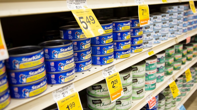 different canned tuna brands on grocery shelves