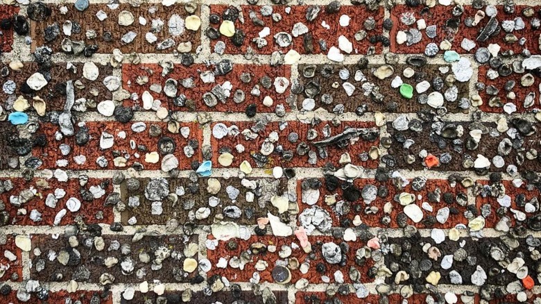 iconic gum wall at Maid-Rite Greenville, Ohio