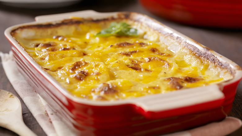 potato gratin served in dish