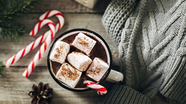 hot cocoa with marshmallows