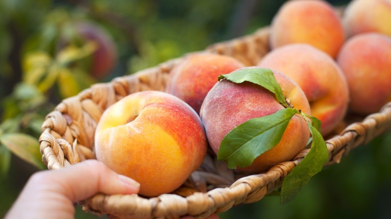 Fresh peaches in a basket