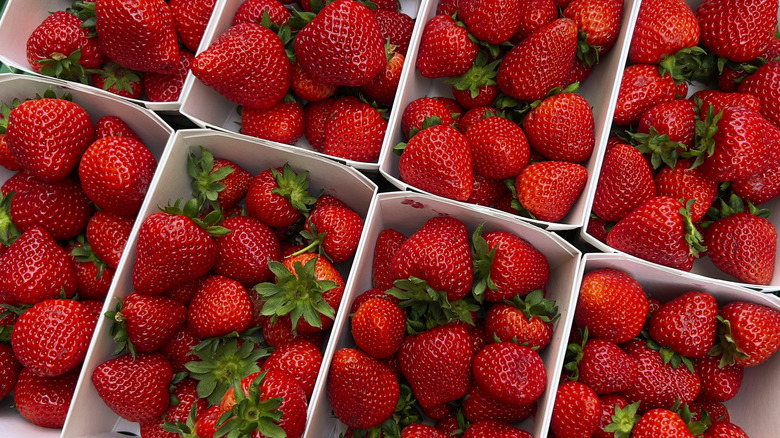 Open white containers of strawberries