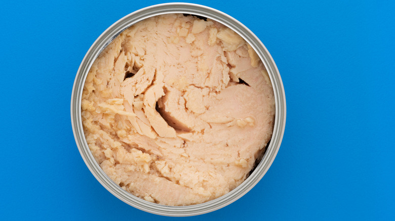 Canned tuna in olive oil
