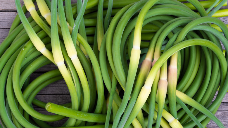 garlic scapes