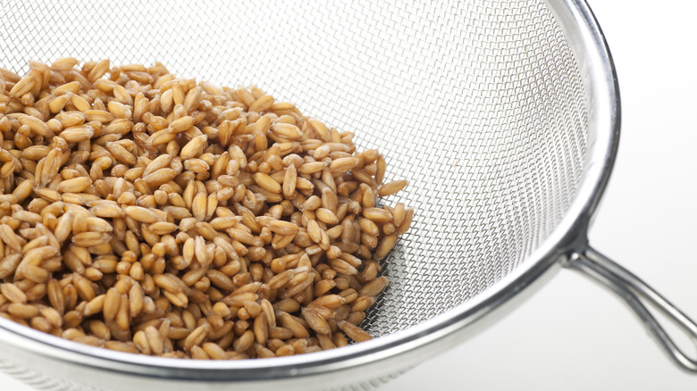 rinsed whole grain in colander