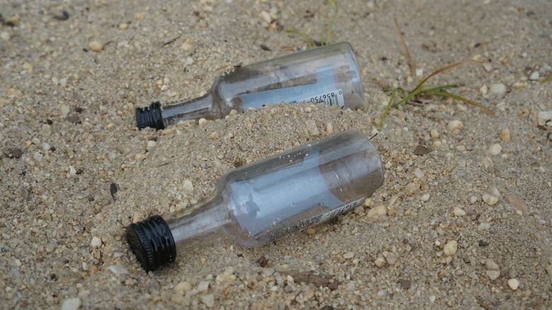 Empty Bottles on the Beach