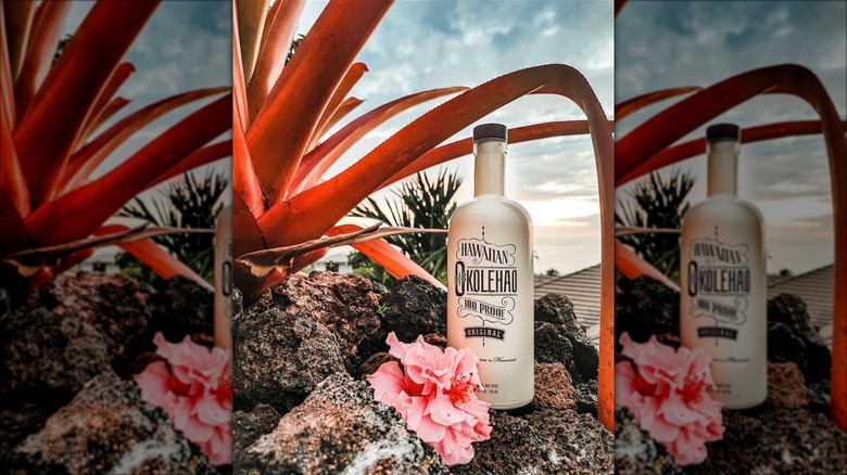 The Original Scorpion Cocktail Was Made With A Rare Hawaiian Spirit
