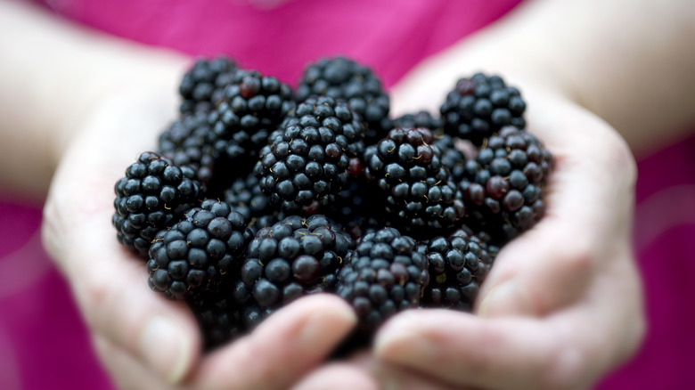 Handful of blackberries