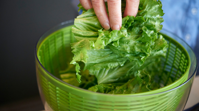 Hand removing leafy greens from salad spinner