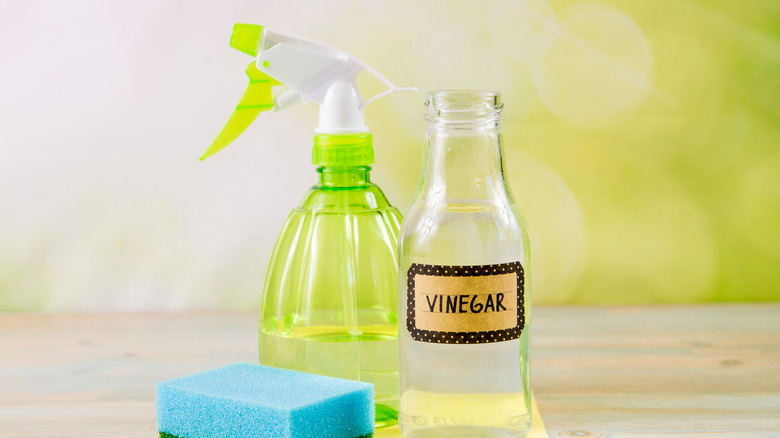 Bottle of vinegar and spray bottle